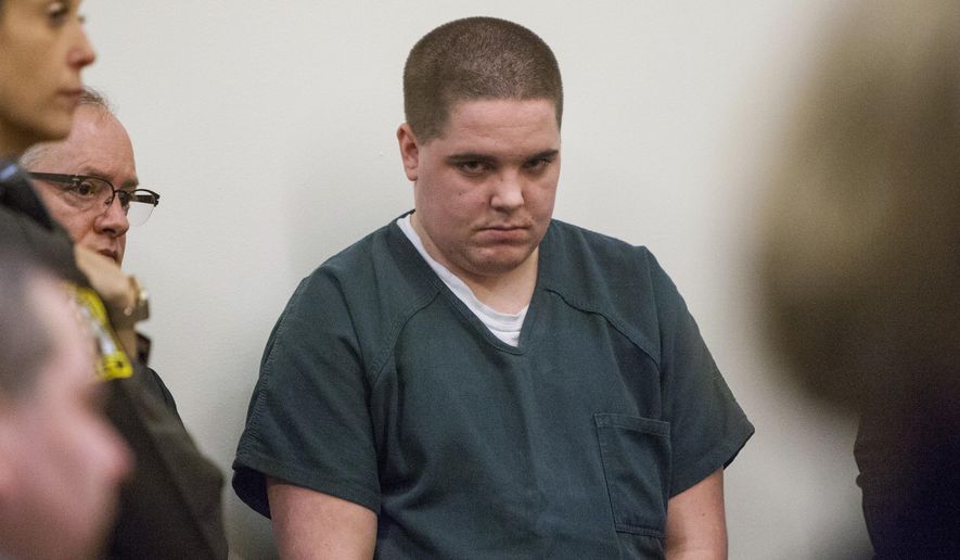 Payton Mellema appears for his sentencing in the Kent County Courthouse in Grand Rapids on Tuesday, Dec. 12, 2017. Mellema pleaded guilty to third-degree arson and killing/torturing animals for starting an April 8 barn fire that killed 13 therapy horses in Lowell Township. He was sentenced to a year in jail and three years at a mental health facility. (Cory Morse/The Grand Rapids Press via AP)