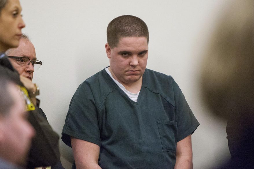 Payton Mellema appears for his sentencing in the Kent County Courthouse in Grand Rapids on Tuesday, Dec. 12, 2017. Mellema pleaded guilty to third-degree arson and killing/torturing animals for starting an April 8 barn fire that killed 13 therapy horses in Lowell Township. He was sentenced to a year in jail and three years at a mental health facility. (Cory Morse/The Grand Rapids Press via AP)