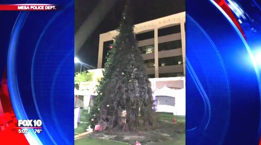 Arizona police arrested a man Dec. 13, 2017, after Mesa's annual "Merry Main Christmas Tree" was set ablaze. (Image: Fox-10 Arizona screenshot)
