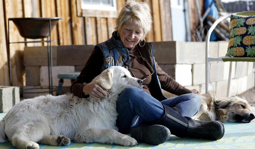 ADVANCE FOR USE SATURDAY, DEC. 16 - In this Nov. 29, 2017 photo, Debbie Faulkner shares a moment with her dogs that she has rescued at her ranch in Crawford, Colo. Faulkner is the owner of the Black Canyon Animal Sanctuary and founder of the Silver Whiskers program where senior pets are paired with senior citizens. (Chancey Bush/The Grand Junction Daily Sentinel via AP)