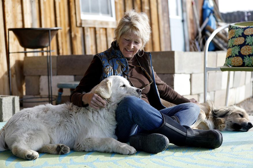 ADVANCE FOR USE SATURDAY, DEC. 16 - In this Nov. 29, 2017 photo, Debbie Faulkner shares a moment with her dogs that she has rescued at her ranch in Crawford, Colo. Faulkner is the owner of the Black Canyon Animal Sanctuary and founder of the Silver Whiskers program where senior pets are paired with senior citizens. (Chancey Bush/The Grand Junction Daily Sentinel via AP)