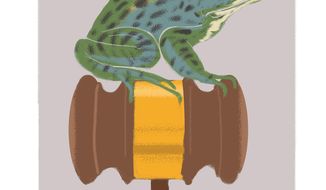 Illustration of the Mississippi Gopher Frog by Linas Garsys/The Washington Times
