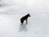 AP_28625675294.jpg