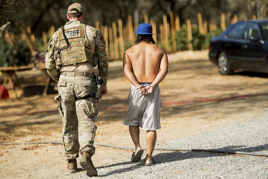 File - In this Sept. 29, 2017, file photo, a sheriff's deputy arrests a man for allegedly cultivating marijuana in unincorporated Calaveras County, Calif. A hodgepodge of law enforcement agencies throughout California will be responsible for enforcing new marijuana laws that make legal some, but not all, sales of the drug for recreational use on Jan. 1, 2018. (AP Photo/Noah Berger, File)