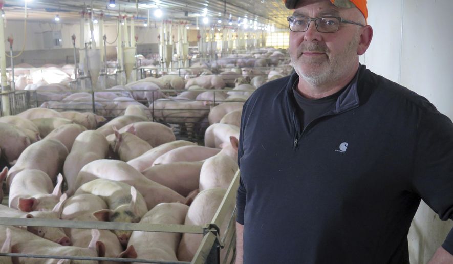 In this Dec. 4, 2017 photo, Southwest Minnesota hog producer Randy Spronk poses at his farm near Edgerton, Minn. Minnesota farmers like Spronk fear they could lose millions of dollars if the United States leaves the North American Free Trade Agreement.  (Mark Steil/Minnesota Public Radio via AP)