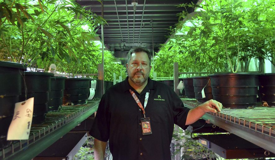 Andy Williams, founder and CEO of Medicine Man Denver, poses for a photo in Denver on Thursday, Jan. 4, 2018. Colorado was the first state in the nation to sell recreational pot legally after voters in 2012 approved it. The state has also has a longstanding medical marijuana industry and the Colorado pot market tops $1 billion. (AP Photo/P. Solomon Banda) ** FILE **