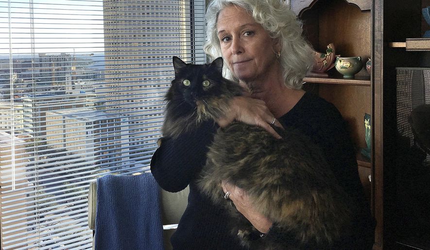 Christine Lee holds her long-haired house cat, Calli, in her condominium in downtown Tampa, Fla., on Thursday, Jan. 4, 2017. In a lawsuit, a contractor alleges that he was attacked by a bobcat while working in the condo. (Dan Sullivan/The Tampa Bay Times via AP)