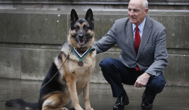 John Wren from New York, who was 4 years old when Chips the family pet dog returned from the war effort, with Military working dog Ayron who received the PDSA Dickin Medal, the animal equivalent of the Victoria Cross, on Chips&#x27; behalf, in London, Monday, Jan. 15, 2018. Chips was a US Army dog who protected the lives of his platoon during the invasion of Sicily in 1943. (AP Photo/Kirsty Wigglesworth)