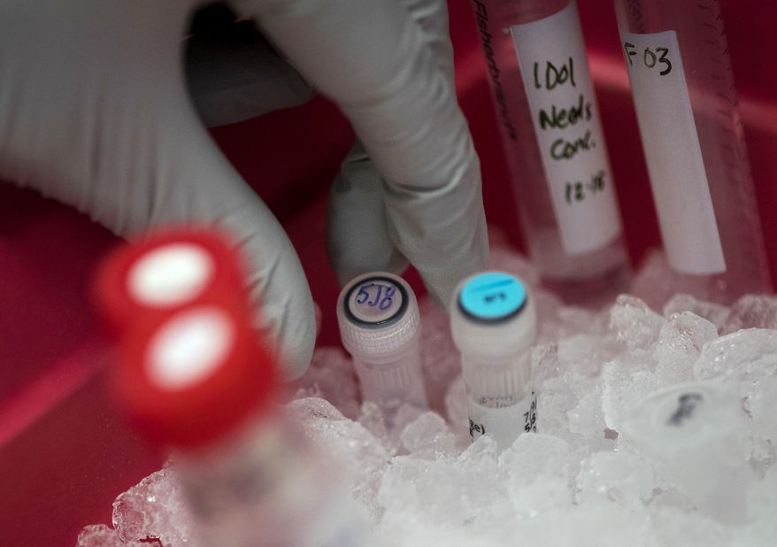 Biologist Rebecca Gillespie places a vial of flu-fighting antibodies in ice at the Vaccine Research Center at the National Institutes of Health, Tuesday, Dec. 19, 2017, in Bethesda, Md. Scientists now think people respond differently to vaccination based on their flu history. (AP Photo/Carolyn Kaster)
