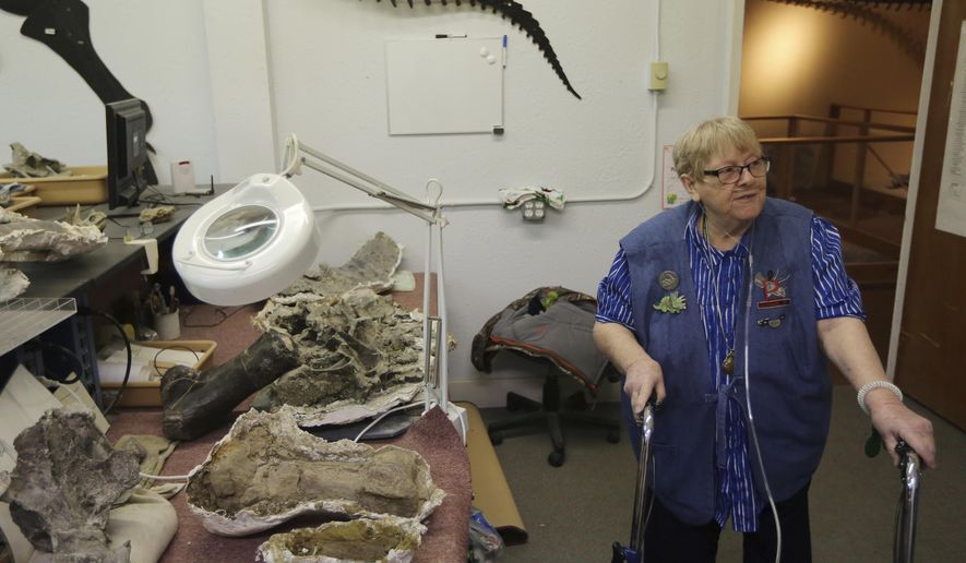 In this Jan. 5, 2018 photo, Barb Reynolds, one of the "bone biddies," gives a tour of the fossil prep lab at the Paleon Museum in Glenrock, Wyo. For most of the museum's 23-year history, the group of women who volunteer to run the day-to-day operations have referred to themselves as the "bone biddies." (Alan Rogers/The Casper Star-Tribune via AP)