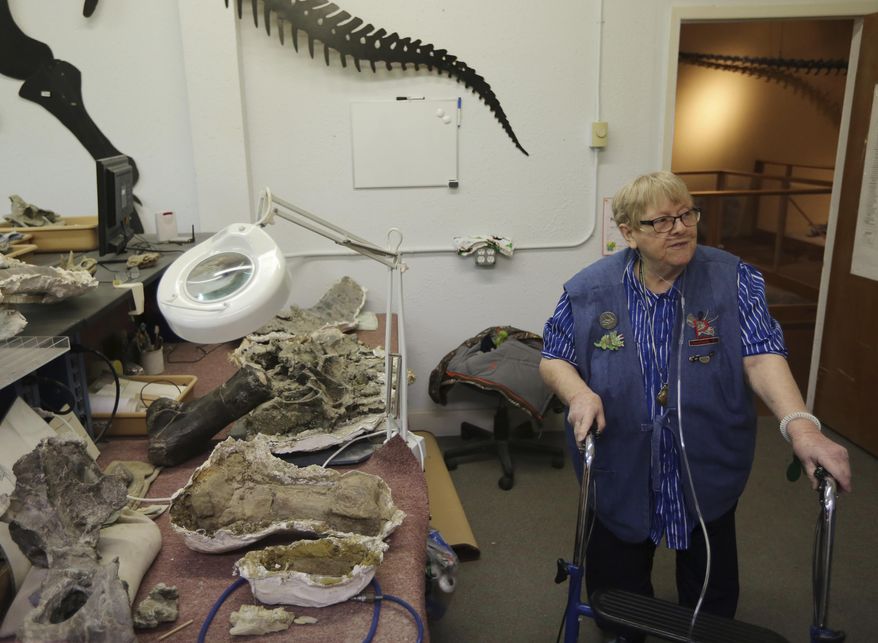 In this Jan. 5, 2018 photo, Barb Reynolds, one of the "bone biddies," gives a tour of the fossil prep lab at the Paleon Museum in Glenrock, Wyo. For most of the museum's 23-year history, the group of women who volunteer to run the day-to-day operations have referred to themselves as the "bone biddies." (Alan Rogers/The Casper Star-Tribune via AP)