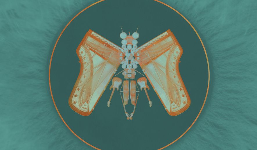 This cover image released by Concord Jazz shows "Chinese Butterfly," a release by The Chick Corea + Steve Gadd Band. (Concord Jazz via AP)