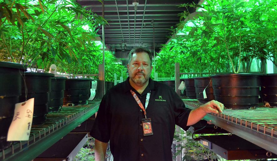 Andy Williams, founder and CEO of Medicine Man Denver, had six business accounts terminated from 2011 to 2015. Banks are reluctant to accept deposits from businesses that sell marijuana because the drug remains outlawed at the federal level. (Associated Press/File)