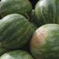 The City Tap Houses and Roofers Union will serve specialties this Saturday for National Watermelon Day. (Associated Press/File)
