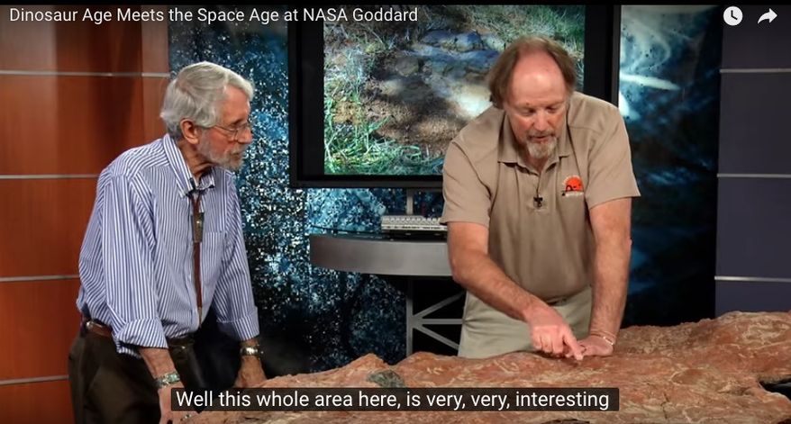 In 2012, local dinosaur track expert Ray Stanford discovered a nodosaur track from the Cretaceous era on the campus of NASA's Goddard Space Flight Center, in Greenbelt, Maryland. After the slab on which Stanford found the track was excavated, Stanford, paleontologist Martin Lockley, of University of Colorado at Denver, and others documented more than 70 dinosaur and mammal tracks imprinted in the sandstone. Their paper documenting the discovery was published Jan. 31, 2018, in the journal Scientific Reports. The 8-foot by 3-foot slab contains at least 26 mammal tracks. Screen grab from video. (Courtesy of NASA's Goddard Space Flight Center/Swarupa Nune)