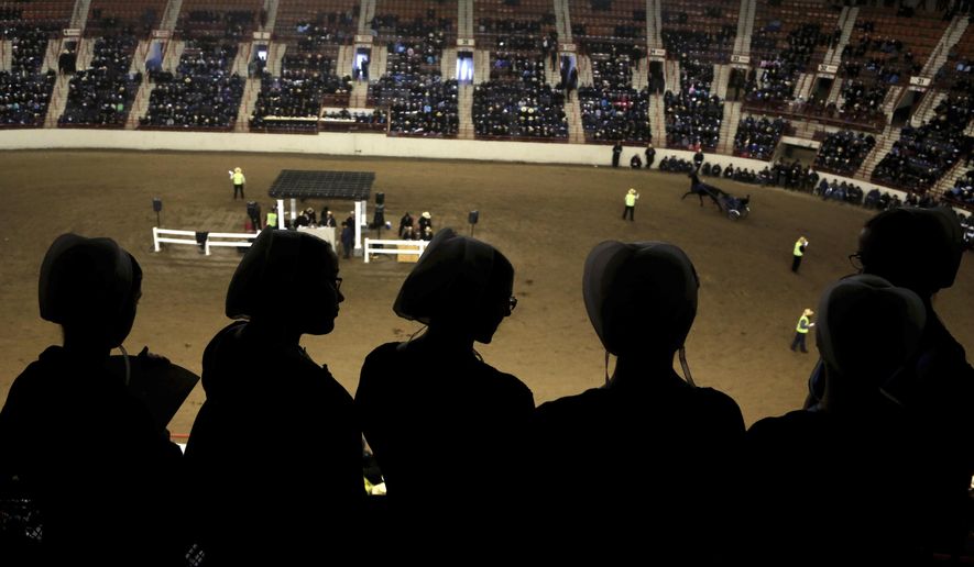 In this file photo, teenage girls gather to watch a harness horse auction at the Pennsylvania Farm Show Complex Wednesday Jan.17, 2018 in Harrisburg, Pa. Amish from all over the country come to Harrisburg to buy and sell their massive draft horses and magnificent harness horses. (AP Photo/Jacqueline Larma) **FILE**