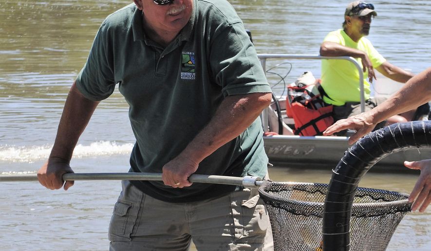 In this June 29, 2016 photo, now retired Mazonia-Braidwood Fish and Wildlife Area  Superintendent Mark Meents, hands off a dip net full of fish caught in Illinois Department of Natural Resources electro-fishing to be tagged as prize fish in the 33rd Annual Kakakekee River Fishing Derby in Kakakekee, Ill. Meents, retired Jan. 1, 2018 from the Illinois Department of Natural Resources after 39 years. (Robert Themer/The Daily Journal via AP)