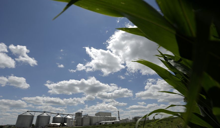 FILE - In this July 20, 2013 file photo, a plant that produces ethanol is next to a cornfield near Coon Rapids, Iowa.  For decades, a presidential candidate&amp;#8217;s chances in Iowa were wounded if not doomed unless he embraced federal support for ethanol, a now flourishing component to Iowa&amp;#8217;s economy in this corn-growing state. That immutable rule collapsed resoundingly early in the last campaign when five of the six top Republican candidates largely renounced a decades-old ethanol tax credit. (AP Photo/Charlie Riedel, File)