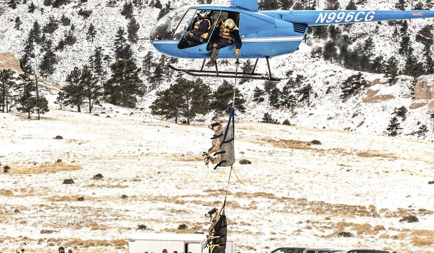 In this Saturday, Feb. 10, 2018 photo, a pair of bighorn ewes are lowered to the ground from a helicopter as veterinarians and volunteers wait at three inspection stations set up in the Williams Gap Wildlife Management Area southwest of McGrew, Neb. (Steve Frederick/The Star-Herald via AP)