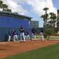 New York Mets pitchers, from left, Zack Wheeler, Noah Syndergaard, Seth Lugo and Steven Matz throw at baseball spring training in Port St. lucie, Fla., Wednesday, Feb. 14, 2018. With a quintet of powerful young arms in place, the future looked so bright for the New York Mets a few years back. But a string of injuries has prevented the team from ever filling out its dream rotation of Jacob deGrom, Noah Syndergaard, Matt Harvey, Steven Matz and Zack Wheeler. This season might represent the last chance. (AP Photo/Mike Fitzpatrick)