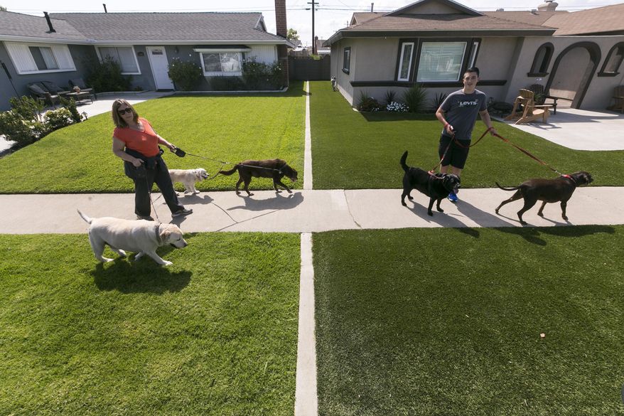 FILE - In this May 6, 2015, file photo, local resident Martha Mattison, left, helps out her son, Jacob with his dog walking business, as they walk past recently installed synthetic grass, seen at right, in Garden Grove, Calif. California water officials say they will consider dropping a mandate requiring conservation in the state's fifth year of drought. The State Water Resources Control Board on Wednesday, May 18, 2016, will vote on whether to give local water districts control of setting their own conservation targets. (AP Photo/Damian Dovarganes, File)