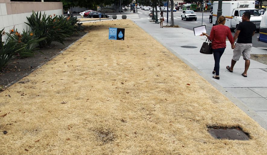 FILE - This Sept. 3, 2015, file photo shows a dried-out lawn at Los Angeles City Hall, with a sign explaining that irrigation has been shut off due to the ongoing drought. California water managers will vote Wednesday, Feb. 14, 2018, whether to reinstate some water restrictions and conservation campaigns and make them permanent, as a year with no almost no rain plunges Southern California back into drought and sends water use there climbing to levels above those of the state's historic 2013-2017 drought. (AP Photo/Nick Ut, File)