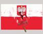 2_202018_b3levinelgpoland-28201.jpg