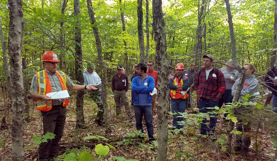 In a Sept. 15, 2016 photo provided by the University of Maine, Gaetan Pelletier of the Northern Hardwoods Research Institute describes diseased beech problem to members of the University of Maine Cooperative Forestry Research Unit in a stand of diseased beech in Aroostook, County. The tell-tale signs of beech bark disease are seen in the pock marked bark in this photo. Scientists say beech trees are beginning to dominate Northeastern forests in the era of climate change, and they are susceptible to diseases. (Brian E. Roth/University of Maine via AP)