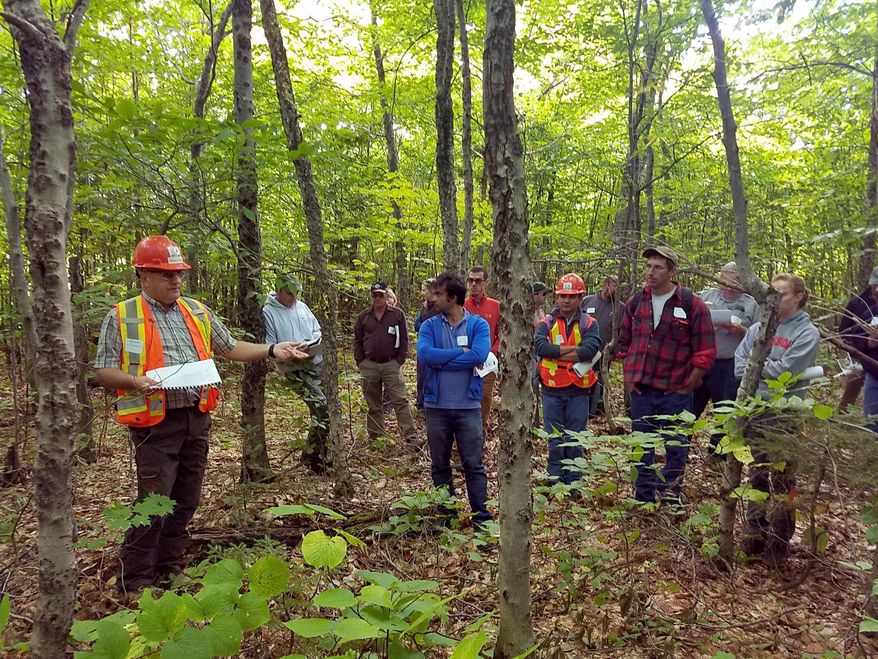In a Sept. 15, 2016 photo provided by the University of Maine, Gaetan Pelletier of the Northern Hardwoods Research Institute describes diseased beech problem to members of the University of Maine Cooperative Forestry Research Unit in a stand of diseased beech in Aroostook, County. The tell-tale signs of beech bark disease are seen in the pock marked bark in this photo. Scientists say beech trees are beginning to dominate Northeastern forests in the era of climate change, and they are susceptible to diseases. (Brian E. Roth/University of Maine via AP)