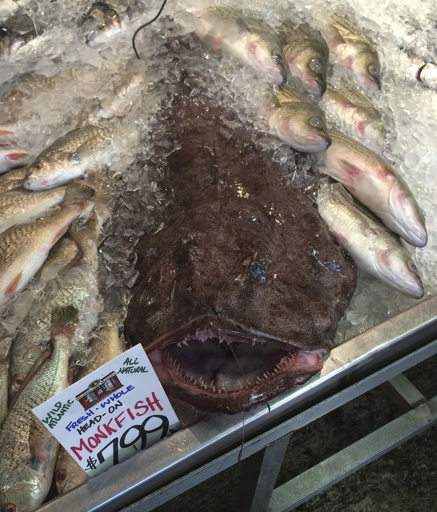 In this Sept. 9, 2016 photo, a Monkfish dwarfs other fish being are offered for sale at a market in Portland, Maine. Members of the fishing industry, regulators and environmentalists are trying to convince U.S. consumers in 2018 to eat more of the particularly weird looking fish. (AP Photo/Patrick Whittle)