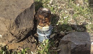 This March 16, 2017, file photo released by the Bannock County Sheriff&#39;s Office shows a cyanide device in Pocatello, Idaho, The cyanide device, called M-44, is spring-activated and shoots poison that is meant to kill predators. U.S. officials have agreed to complete a study on how two predator-killing poisons could be affecting federally protected species as part of the settlement of a lawsuit filed by environmental and animal-welfare groups.   (Bannock County Sheriff&#39;s Office via AP)