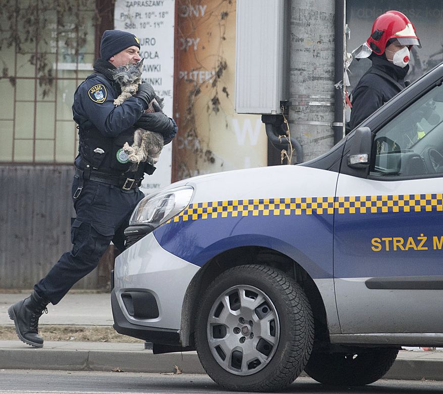 A city guard, left, and a rescuer walk with a little dog saved from the rubble of an apartment bloc that has collapsed killing several people in the western city of Poznan, Poland, Monday, March 5, 2018. Firefighters and rescuers with dogs have been searching in sub-freezing temperatures through the debris of the building in the western city of Poznan after it collapsed early Sunday. (AP Photo/Str)