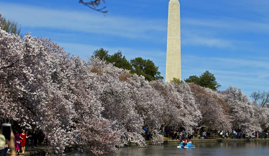 FILE - In this April 2, 2017, file photo, people walk along the Tidal Basin, visiting the cherry blossoms in Washington. (AP Photo/Jose Luis Magana, File)