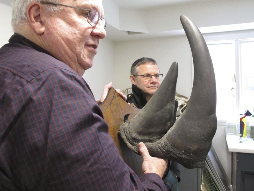 Retired University of Vermont professor Bill Kilpatrick, left, and UVM police chief Tim Bilodeau show a recovered a black rhinoceros horn that was stolen from a locked storage room on campus last year, on on Tuesday, March 13, 2018 in Burlington, Vt. Police said Tuesday they had received a tip that led to an investigation that brought them to Ridgefield, Connecticut, where someone turned over the artifact in exchange for immunity. Police would not say where, who had it or if that person was a student. (AP Photo/Lisa Rathke)