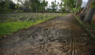 In this Wednesday, March 14, 2018, photo, foot prints of villagers and U.S soldiers&#39; combat boots are reconstructed in My Lai memorial site in Son My, Vietnam. On March 16, 1968, U.S soldiers of Charlie Company, sent on what they were told was a mission to confront a crack outfit of their Vietcong enemies, met no resistance, but over the course of three to four hours killed 504 unarmed civilians, mostly women, children and the elderly, in My Lai and a neighboring community. (AP Photo/Hau Dinh)