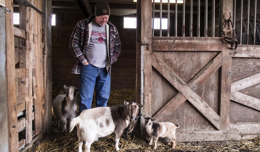 This undated photo shows Randy De Jong in Snohomish, Wash. De Jong left the family farm in Iowa to pursue nursing. De Jong missed being around livestock, so he talked his city gal wife, Kathi, into moving to the 3.5 acre farm on Fobes Hill five years ago. (Kevin Clark/The Herald via AP)
