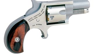 SmithWesson500