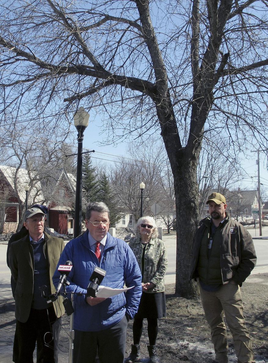 Vermont Agriculture Secretary Anson Tebbetts, center, discusses on Monday, March 26, 2018, in Randolph, Vt., the spread of the emerald ash borer, an invasive pest that kills ash trees, like the tree in the background. Tebbetts said Monday the emerald ash borer has been discovered in Barre, Groton and Plainfield. It was first detected in Orange. (AP Photo/Lisa Rathke)