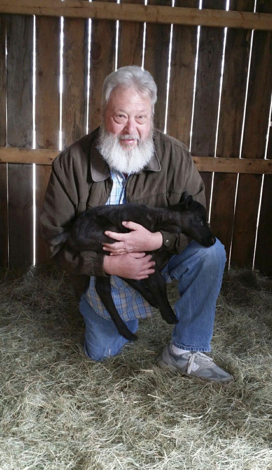 In this undated photo provided by the Pony X-Press Zoo, Ed Papsis of Pony X-Press Zoo holds Mistletoe, a newborn baby reindeer in Winslow, Maine. Mistletoe is the first reindeer baby born in Maine in more than 20 years. It was born on Easter Sunday. (Pony X-Press Zoo via AP)