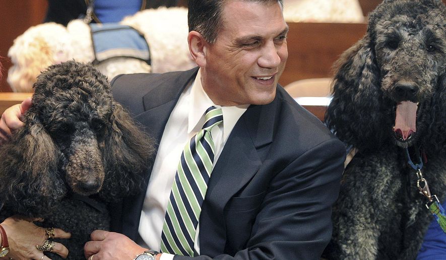 FILE - In this Oct. 7, 2015, file photo, Judge John Trucilla meets with therapy dogs Jett, left, and True in his courtroom at the Erie County Courthouse in Erie, Pa., where therapy dogs visit courtrooms during children's legal hearings. The use of dogs to comfort prosecution witnesses in court is increasing across the country, despite concerns by defense lawyers that the animals can prejudice juries against defendants. (Jack Hanrahan/Erie Times-News via AP, File)