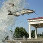 Catfish are released into a pond at a Little Rock, Ark. park. (AP Photo/Danny Johnston, File)