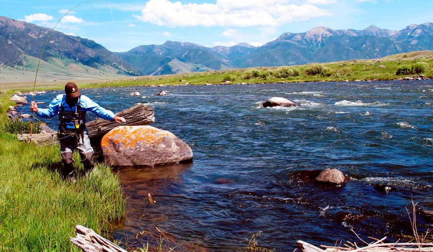 FILE - In this June 15, 2015 file photo, an angler lands a rainbow trout while fishing on the upper Madison River below Quake Lake near Ennis, Mont. The Montana Fish and Wildlife Commission on Thursday, April 19, 2018, rejected a plan to limit commercial fishing guides on the popular and crowded river. Outfitters and guides generally agreed something needs to be done to address the river crowding, but said it shouldn't focus only on them when private anglers make up 87 percent of the users annually. (Brett French/The Billings Gazette via AP, file)