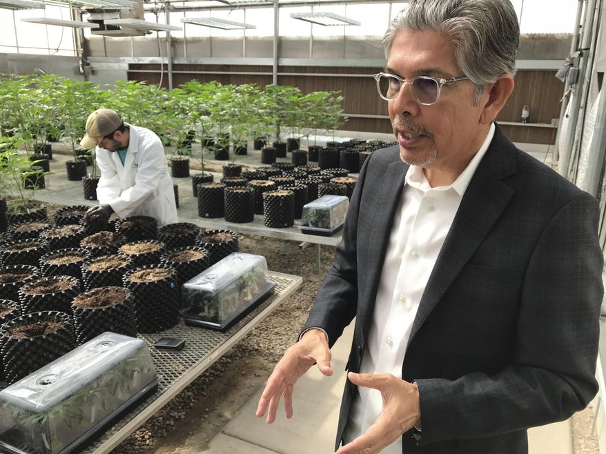 In this April 6, 2018 photo, Ultra Health president and chief executive officer Duke Rodriguez discusses the medical marijuana industry during a tour of the company's greenhouse in Bernalillo, N.M. Ultra Health on Thursday, April 19, 2018, announced the acquisition of farmland in southern New Mexico where it plans to build another cultivation facility that will include indoor and outdoor operations. (AP Photo/Susan Montoya Bryan)