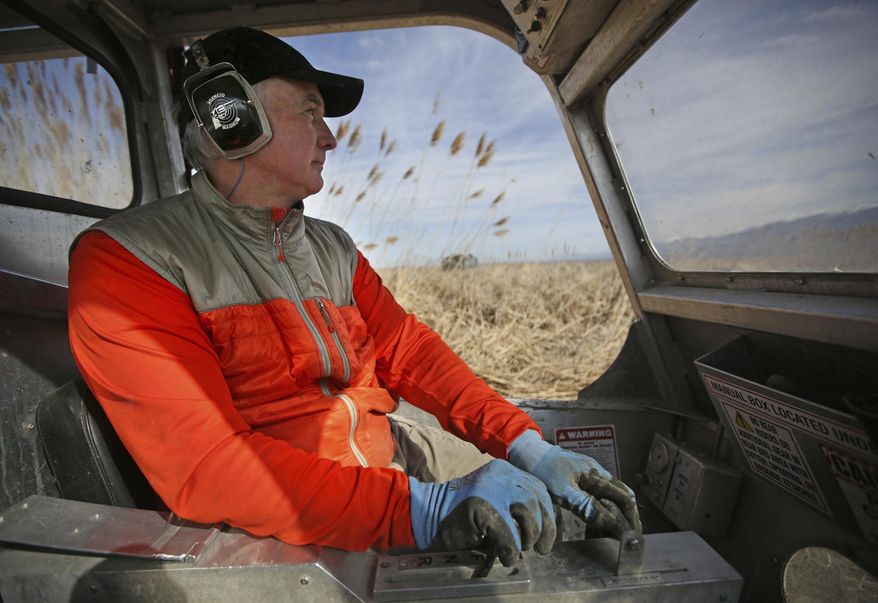 In this April 11, 2018, photo, Kelly Ellis, with Ellis Erosion Control Systems, tramples phragmites with a Marsh Master to control phragmites in the Farmington Bay Waterfowl Management Area in Farmington, Utah. The muddy marshes and tall grasses stretch on nearly as far as the eye can see, with the wind-swept terrain, bugs and birds occupying thousands of acres. (Kristin Murphy/The Deseret News via AP)