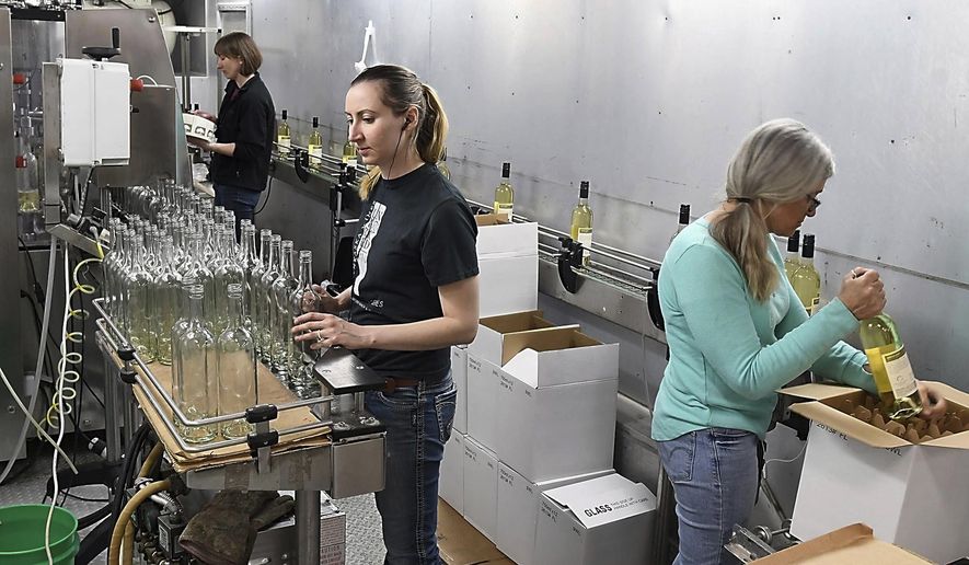 In this April 18, 2018 photo, from left, Josie Boyle, Jennifer Treb and Kim Maiers work in Chankaska Creek Ranch and Winery's mobile bottling unit near Mankato, Minn. Boyle said many small wineries will set up their own manual gravity-fed bottling lines, which are relatively inexpensive but slower. For larger wineries where such systems aren't practical, the mobile unit fills the need. (Pat Christman /The Free Press via AP)