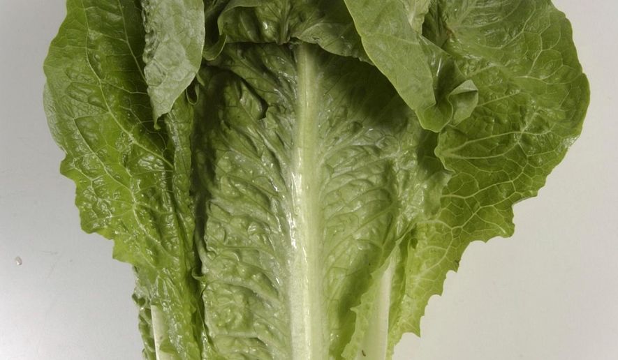 FILE - This undated photo shows romaine lettuce in Houston. On Friday, April 27, 2018, the Centers for Disease Control said they now have reports of 98 food poisoning cases in 22 states. The outbreak is blamed on E. coli bacteria in romaine lettuce grown in Yuma, Ariz. (Steve Campbell/Houston Chronicle via AP)