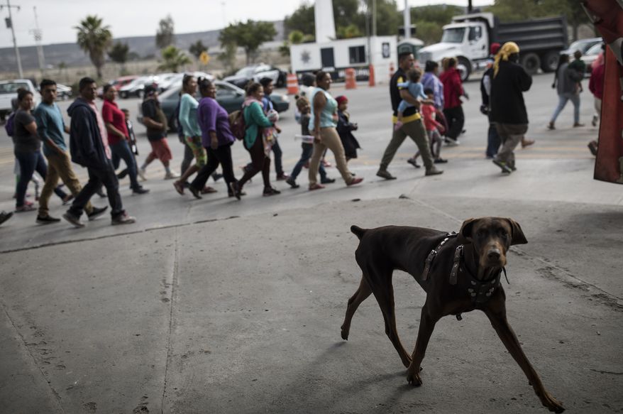 Migrants walk to the place where they will be meeting with immigration lawyers, seeking to enter the United States from Tijuana, Mexico, Friday, April 27, 2018. (AP Photo/Hans-Maximo Musielik)