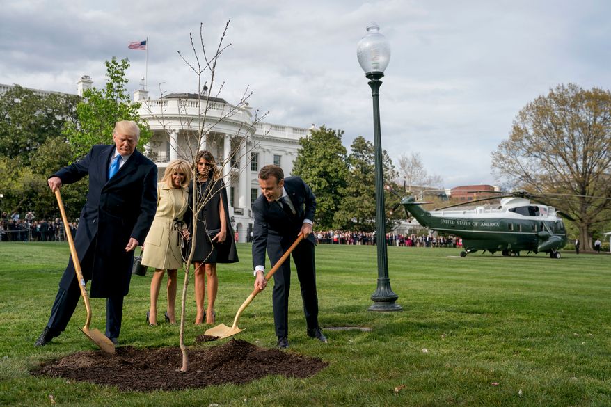 In this April 23, 2018, file photo, first lady Melania Trump, second from right, and Brigitte Macron, second from left, watch as President Donald Trump and French President Emmanuel Macron participate in a tree-planting ceremony on the South Lawn of the White House in Washington. The sapling, a gift from Macron on the occasion of his state visit, is gone from the lawn. A pale patch of grass was left in its place. (AP Photo/Andrew Harnik, File)