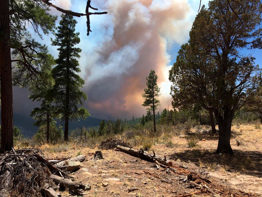 This April 29, 2018, photo provided by the Arizona Department of Forestry and Fire Management shows a wildfire burning in north-central Arizona. The wildfire has grown and firefighters expect that winds and dry conditions may cause it to increase in size. (Arizona Department of Forestry and Fire Management via AP)