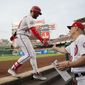 Washington Nationals&#39; Bryce Harper, left, is greeted by bench coach Chip Hale, right, at the dugout after hitting a solo home run off Pittsburgh Pirates starting pitcher Ivan Nova during the first inning of a baseball game at Nationals Park, Wednesday, May 2, 2018, in Washington. (AP Photo/Pablo Martinez Monsivais)